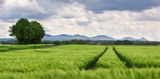 Jak sprawdzić jaki mam rozstaw śrub?