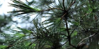 Na co zwrócić uwagę przy zakupie bagażnik rowerowy?