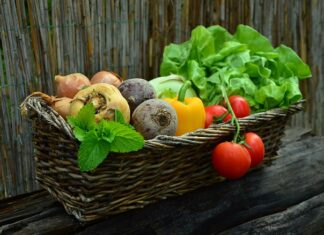 Jakie warzywa nadają się do kiszenia?