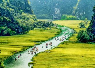 Co zamiast kołnierza dla kota?