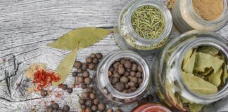 Czy można kisić paprykę?