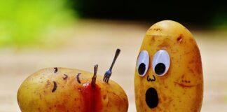 Czym się różni keczup od sosu pomidorowego?