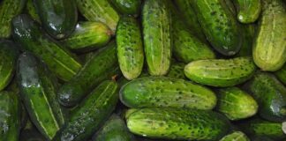 Jaka wodą do ogórków kiszonych zimną czy ciepłą?